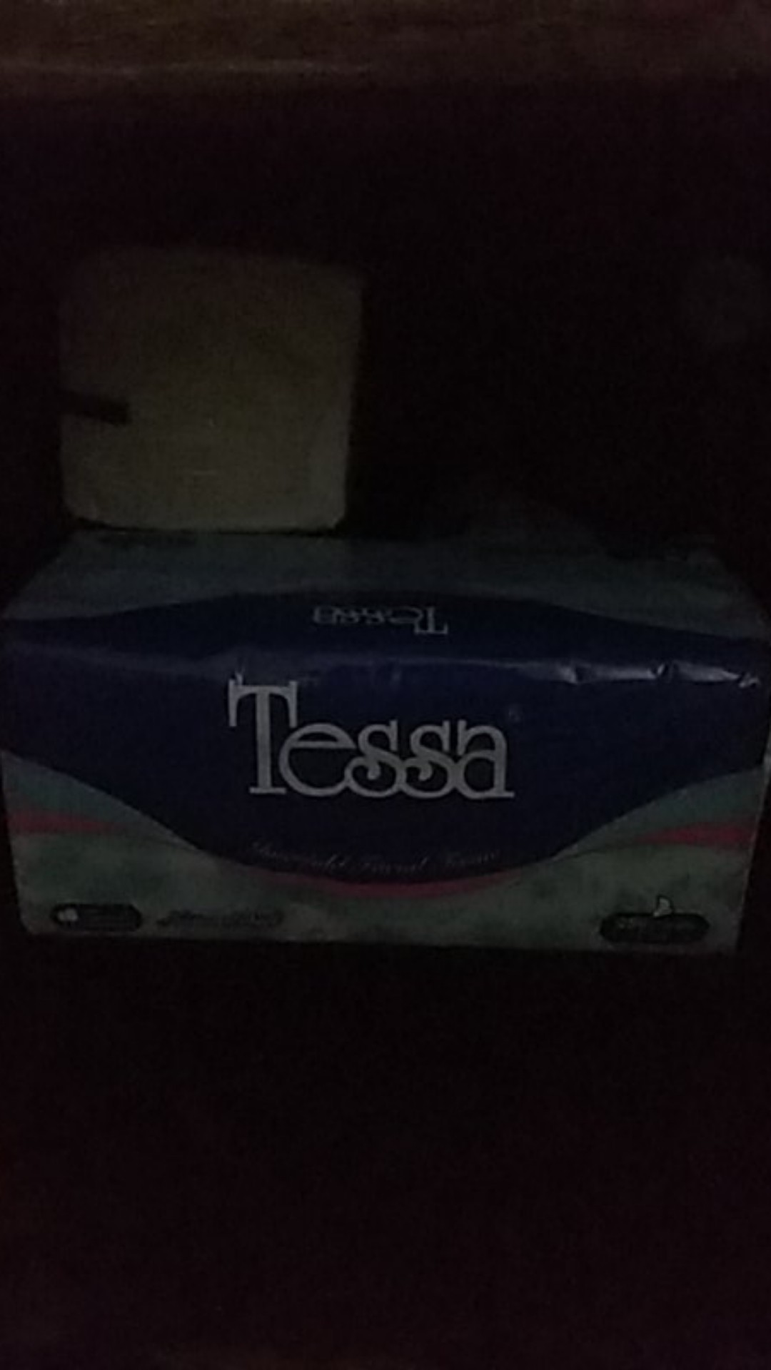 Tissue Tessa Natural Soft Tp-22 [250 Sheets 2 Ply] - 005228