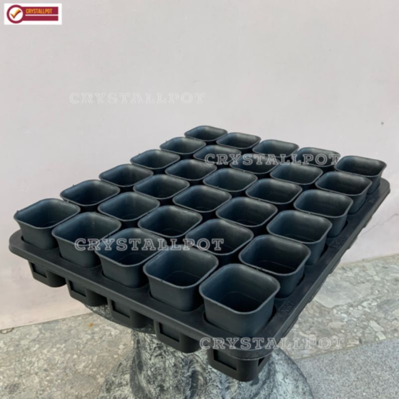 1 SET TRAY LUBANG 30 + POT NKT KOTAK 5CM HITAM 30 PCS | TRAY SEMAI BIBIT