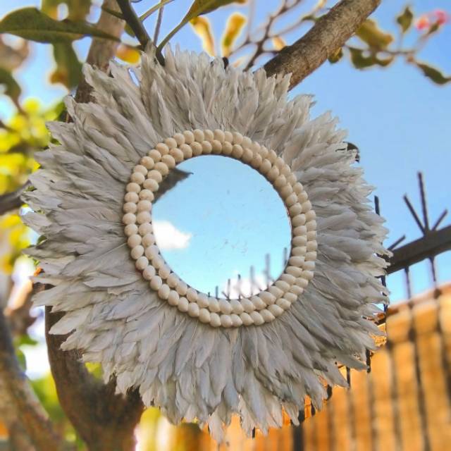 Juju mirror