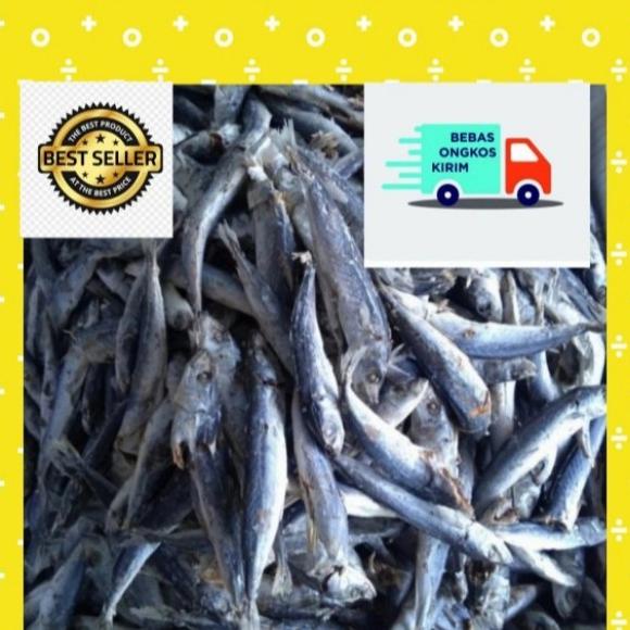 

Diskon ikan asin cuek/super kering/super besar/renyah/gurih/tanpa bubuk/250gr Diskon