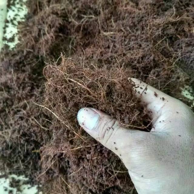 jual media tanam cocopeat 1kg - Media tanam - cocopeat
