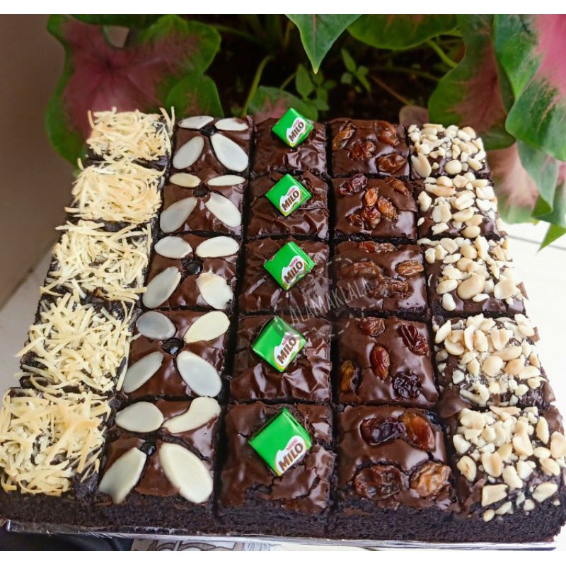 

Brownies_Shinny_Crush/fudgy_brownies_ALAMAKLALA