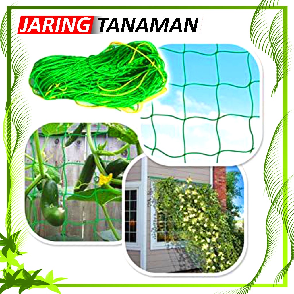 Jaring Tanaman Rambat / Tali Nilon Penopang Tanaman / Climbing Net For Gardening / Vegetable Farm