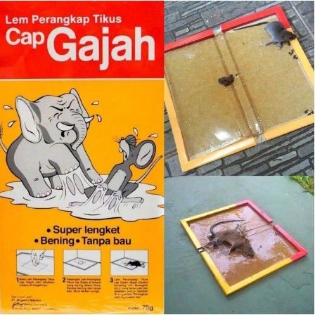 Lem Tikus Cap Gajah perangkap tikus Dijamin Lengket Rat Glue Trap