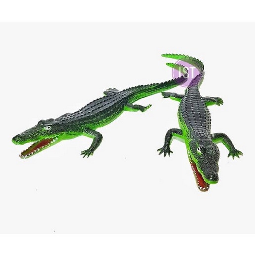 Crocodile Buaya Bunyi Karet
