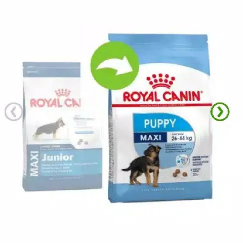 Royal Canin Maxi Puppy 4kg / RC makanan anjing besar