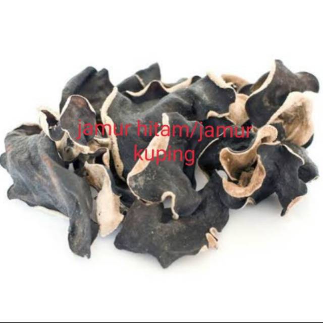 

Ready Jamur Hitam jamur Kuping Kering
