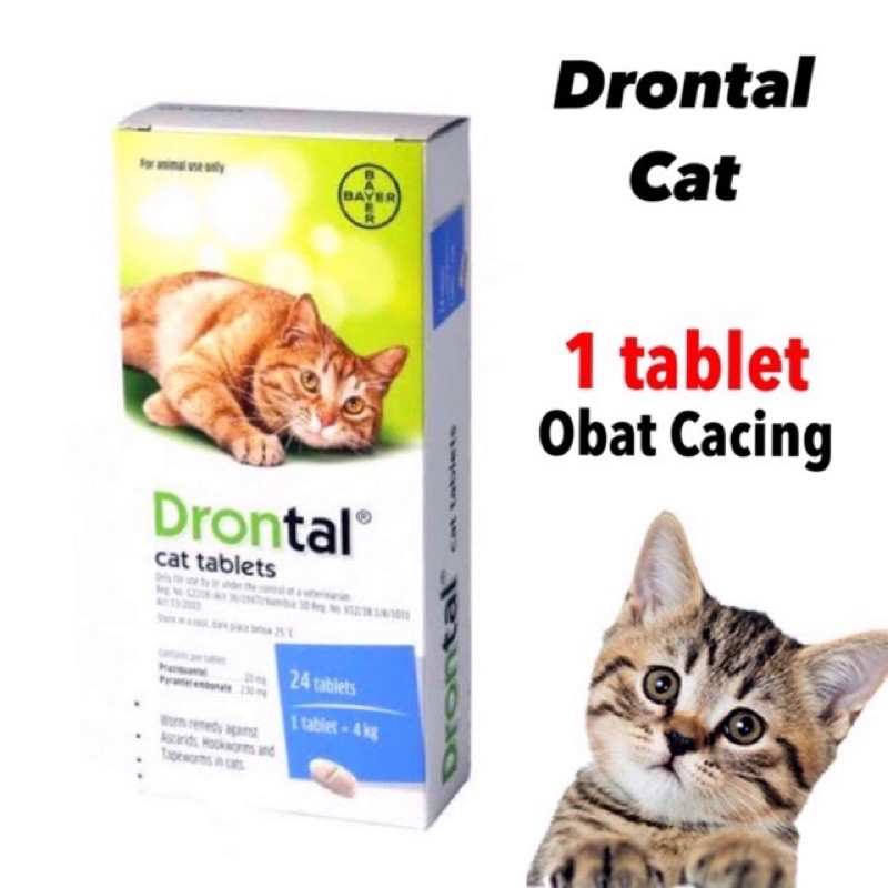 EXOTICGOODS DRONTAL CAT 1 TABLET DRONTAL KUCING OBAT CACING KUCING OBAT CACING HEWAN OBAT CACING TABLET KUCING