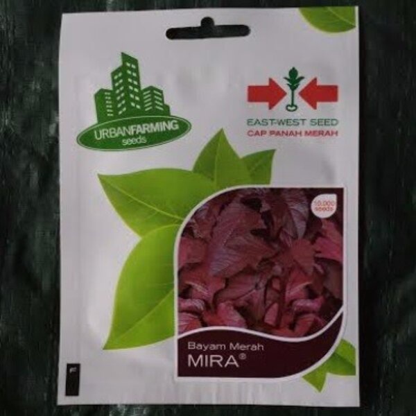 Benih Bibit Bayam Merah Mira 10.000 Biji Sayur Sayuran Panah Merah
