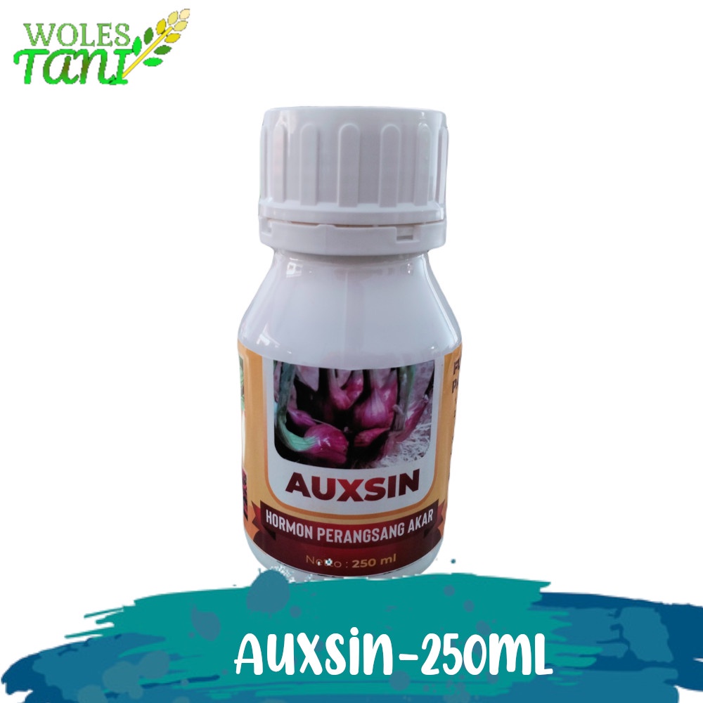 Auksin Plus 250 ml Auksin Pembesar Umbi Bawang