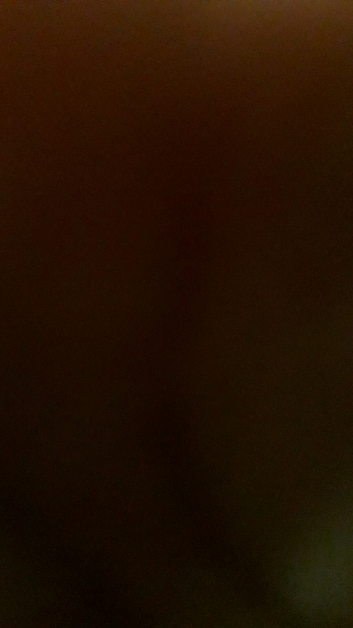 Mangkok 3 Set Kukuruyuk Ayam Jago + Tutup Mixing Bowl Enamel