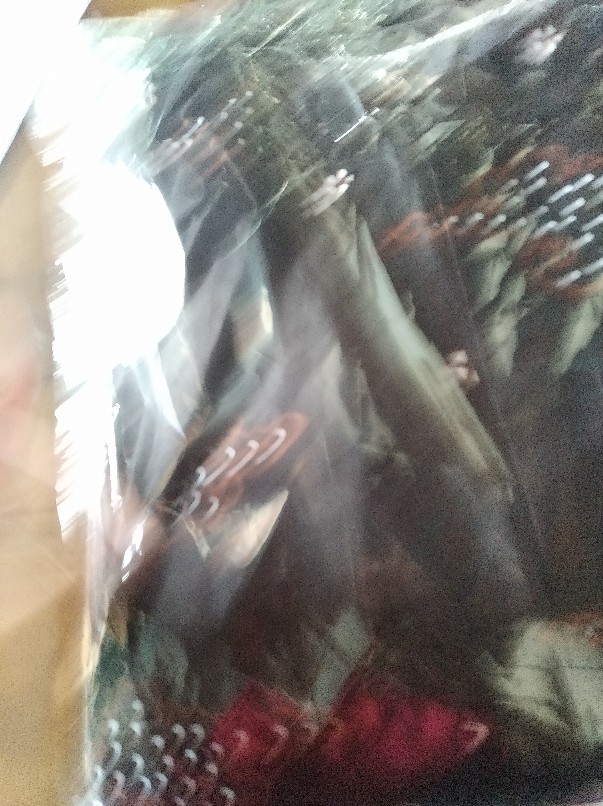 Ms Gamis Batik Sriwedari Maxi Bumil/busui Katun Sogan Allsize & Jumbo