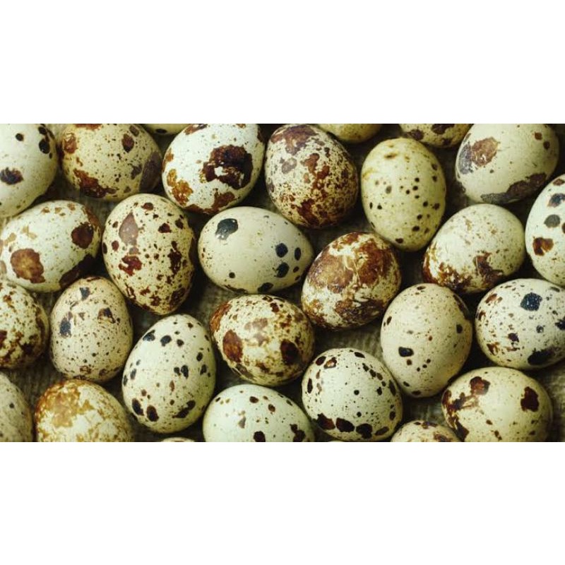 Telur Puyuh Mentah Per 1/2 Kg Bandung