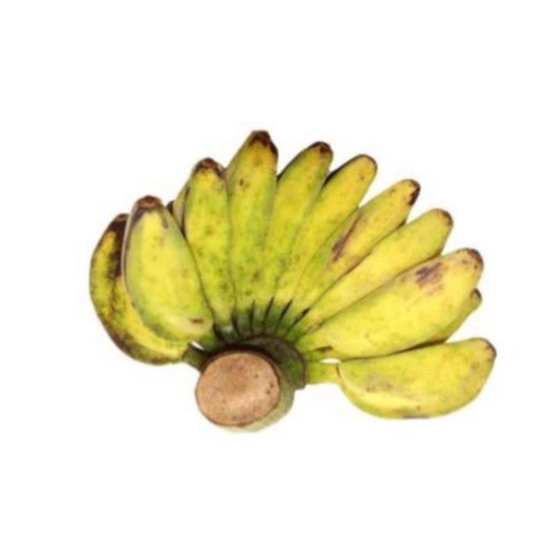 

pisang kepok 1 sisir