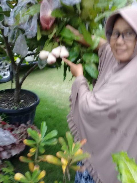 Sos Hand Wash/cuci Tangan Anti Bacterial Pump/pompa 400ml