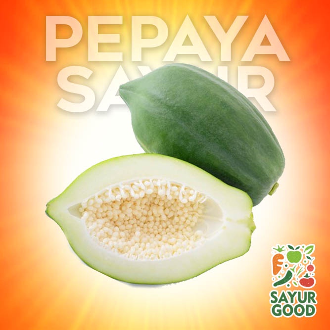 

Pepaya Muda Segar / Papaya Muda / Pepaya Sayur / Per Pcs