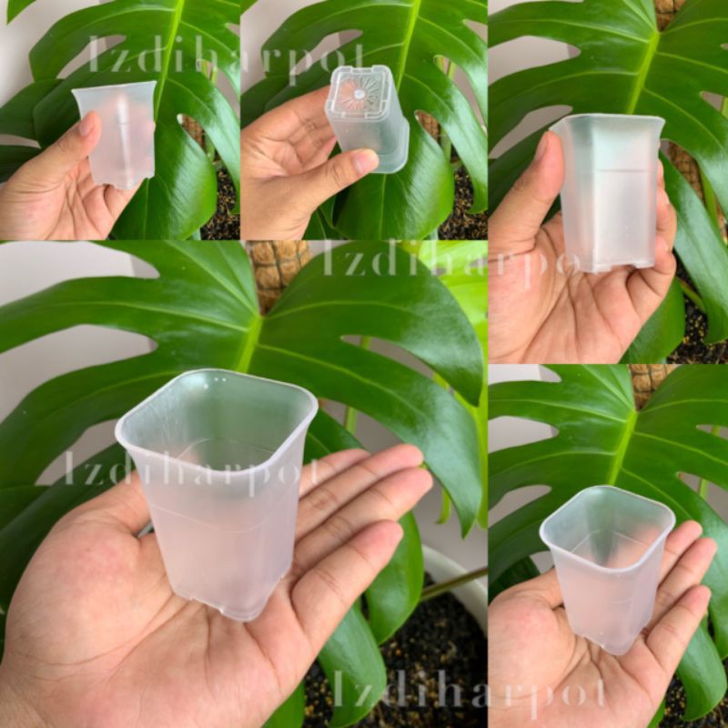 pot bunga tanaman mini kotak bening transparan 5cm - nkt mini