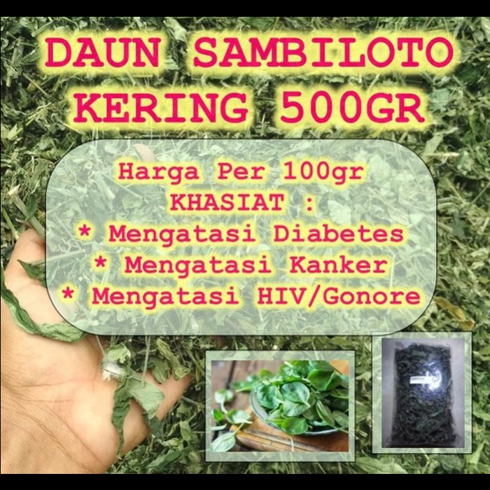 

Daun Sambiloto Kering / Sambiroto Kering Asli 250gr (1/4 kg)