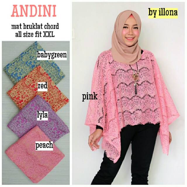 

ANDINI