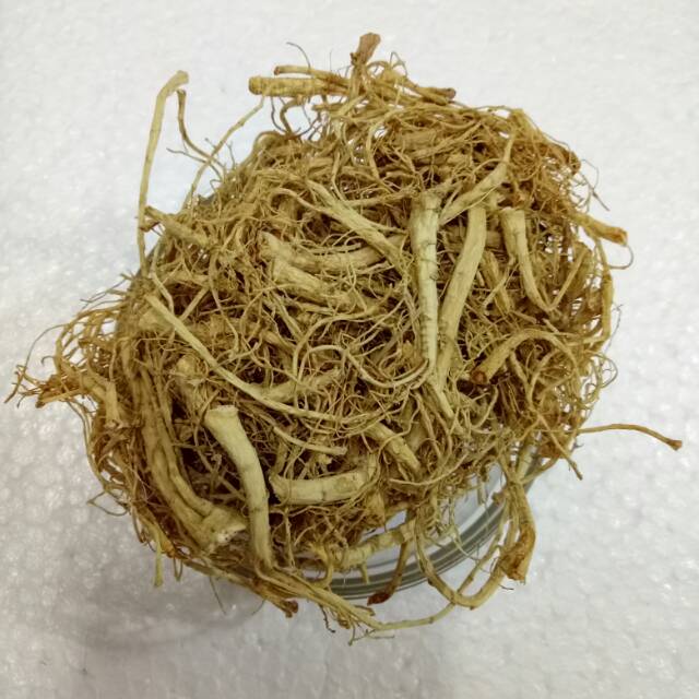 

rempah Akar ginseng premium / yang shen xu / som chiu / ginseng root herbs herbal
