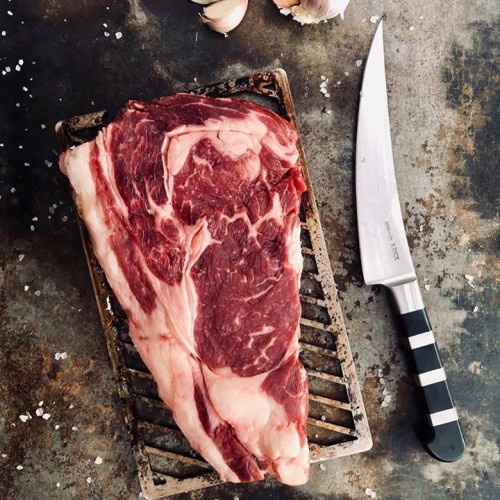 Pisau F. Dick Carving Knife 18cm, Forged Knife 1905 Series