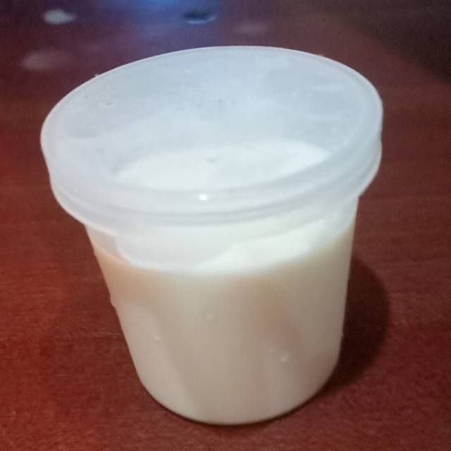 

Bibit kefir dari Israel