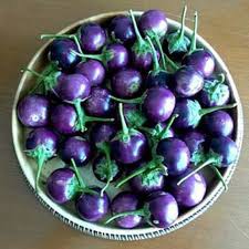 

Terong Ungu Bulat 500gr