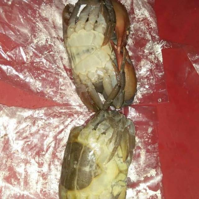 

Kepiting Soka Segar 1 kg