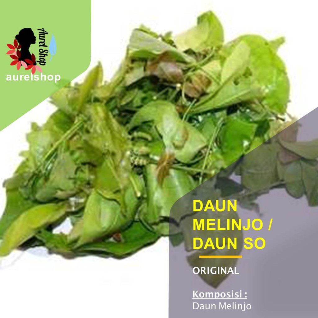 

Daun Melinjo Muda Segar 1 kg / Daun So