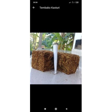 

TBK MADU SENA ASLI LOMBOK