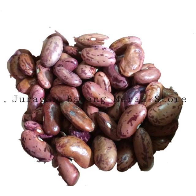 

kacang merah 500 gr