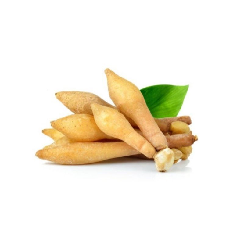 

Temu Kunci Sayur Bayam