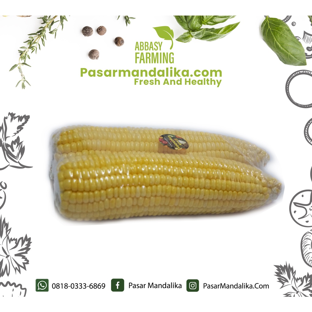 

Jagung Manis / Sweet Corn Pasar Mandalika