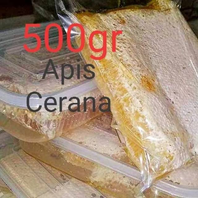 

MADU SARANG/HONEYCOMB/RAW HONEY