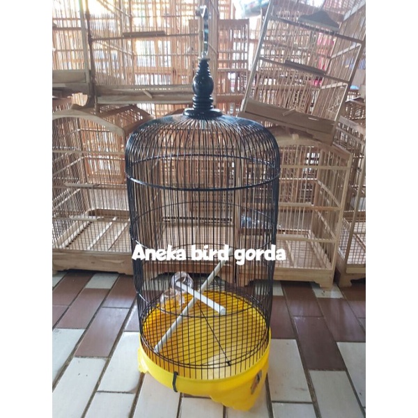 kandang lovebird besar