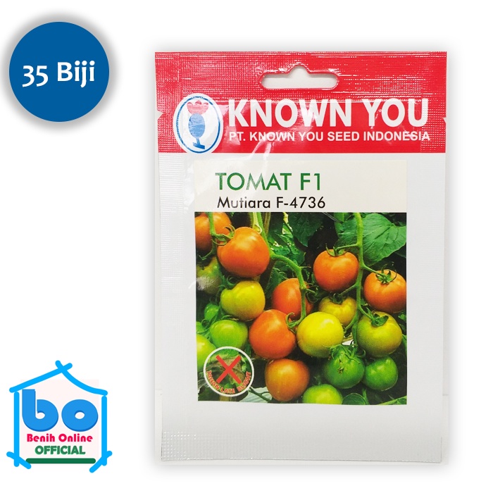 Benih TOMAT F1 Mutiara F-4736 Known You Seed