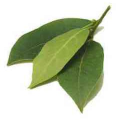 

Daun Salam /pack