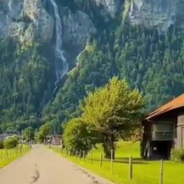 ferina_ina