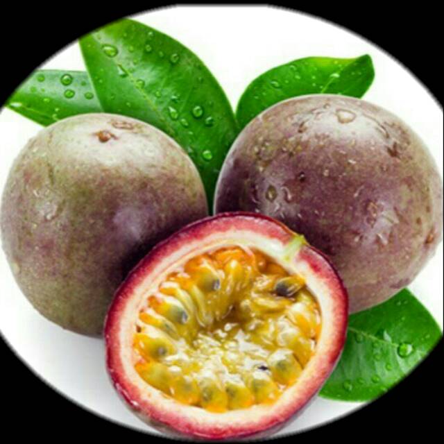 Bibit Markisa Merah Manis