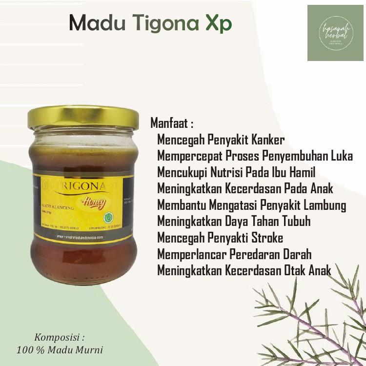 

Madu Trigona (Madu Klanceng)