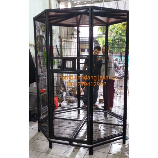 kandang burung parrot . kakatua .macau .afgrey