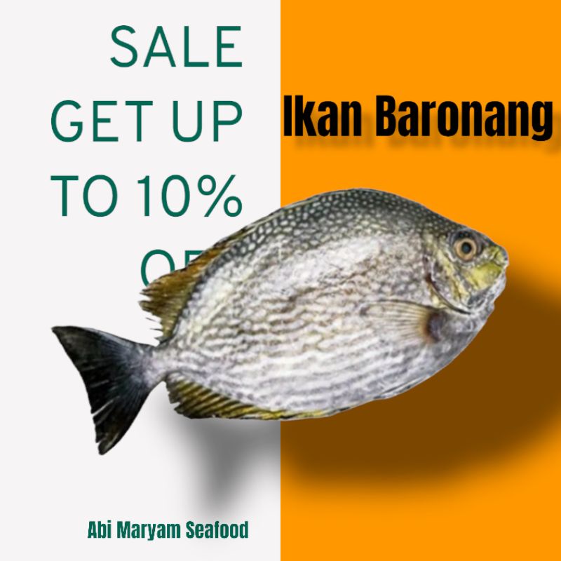 

Ikan Baronang Fresh Berkualitas 1kg
