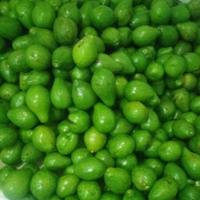 

Buah Alpulkat Temanggung