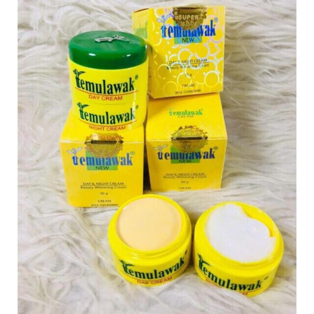 Krim Temulawak Day & Night Original 100% Kosmetik Pemutih Wajah Whitening Cream Temulawak