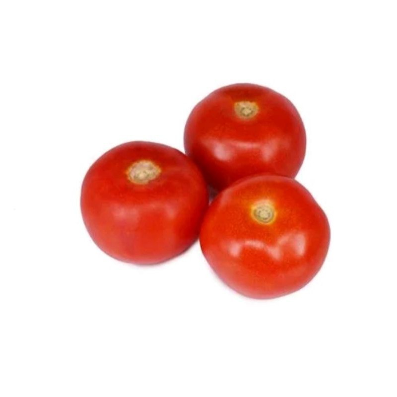 

tomat sayur segar 250gr