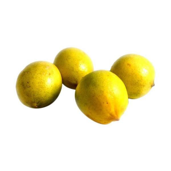 

Jeruk Lemon Lokal