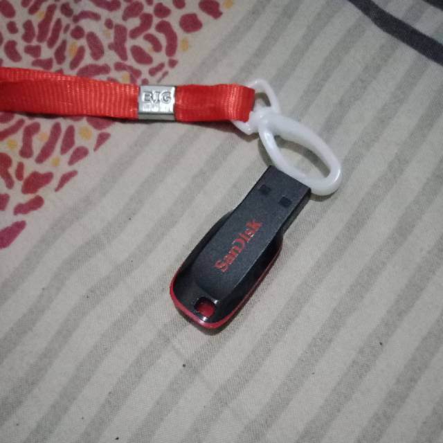 Flashdisk  SanDisk
