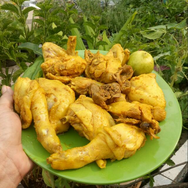 

Ayam ungkep besar 1 ekor isi 8 potong+ati ampela