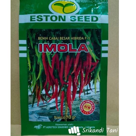 Tidak Diragukan.. Cabe Besar Imola New F1 Cabe Besar Hibrida New Imola Buah Lebat Kemasan 10gr Origi