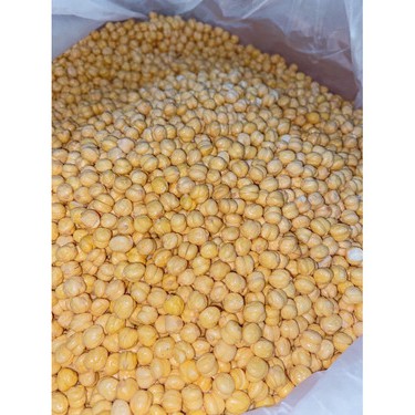 Kacang arab jumbo original 10kg